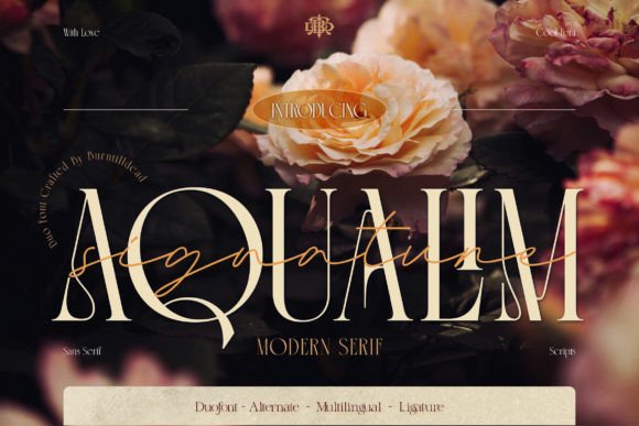 Aqualim Signature: A Designer’s Review of This Elegant Display Font in Real Campaigns