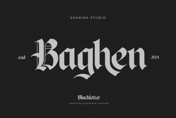 Baghen: A Designer’s Take on Its Visual Power and Practical Use