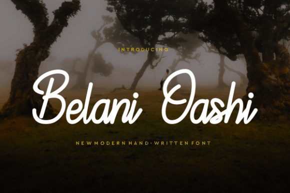 Belani Oashi Font: Elevating Campaign Visuals