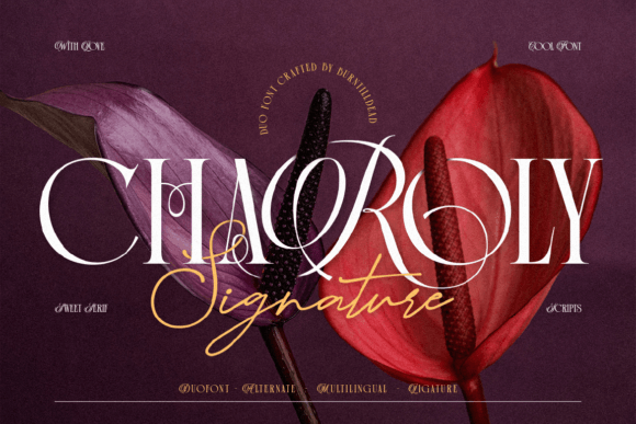 Charoly Signature: A Designer’s Journey with Elegance in Brand Typography