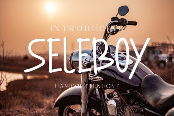 Seleboy Font: Boosting Engagement in Digital Campaigns
