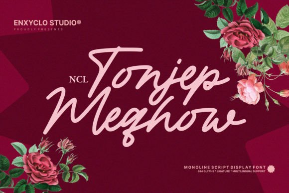 Tonjep Meqhow: A Designer’s Real-World Test in a Boutique Portfolio Site
